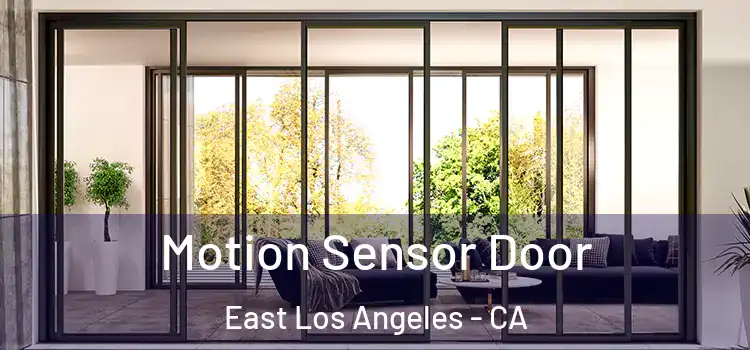 Motion Sensor Door East Los Angeles - CA